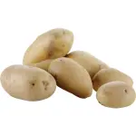 Aardappelschilmachine op voet (10 kg) - Image 2